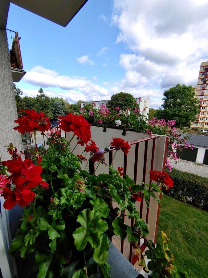 Loft House Sopot Apartamentアパートメント エクステリア 写真